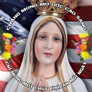 Meet your Posher, Bao